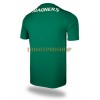 Original Fußballtrikot Celtic Glasgow Auswärtstrikot 2021-22 Für Herren